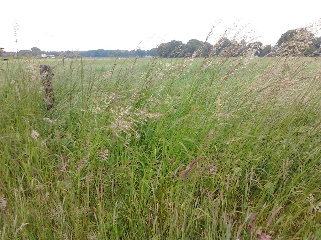 B&B In De Backerije Zuidwolde Kültér fotó